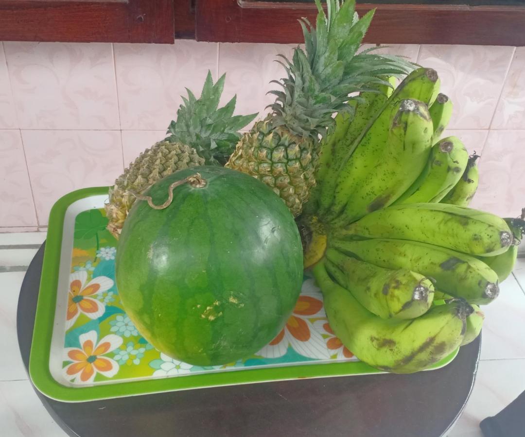 Pandi Gili Trawangan